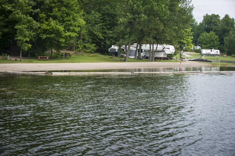 Camping - Woodland Camp Site